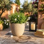 CAMPANULA - vaso in fibra sintetica