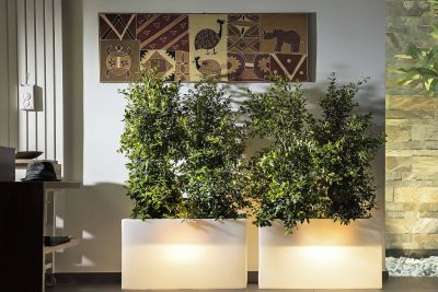 RON - fioriera luminiosa rgb con pannello solare