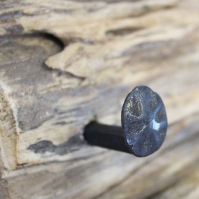 GAMP - appendiabiti in legno di teak