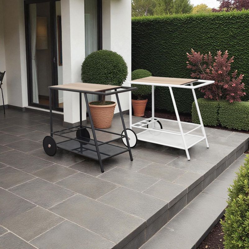 RITAS - carrello porta vivande