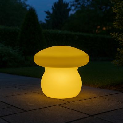 DEMETRA - fungo luminoso piccolo