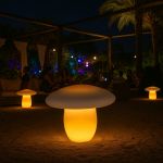 DEMETRA - fungo luminoso grande