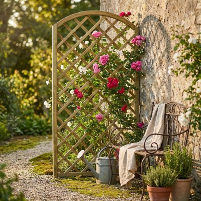 Griglia ad arco da giardino in legno di pino impregnato in autoclave 90 x 180 cm