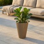 MERCEDES - vaso medio