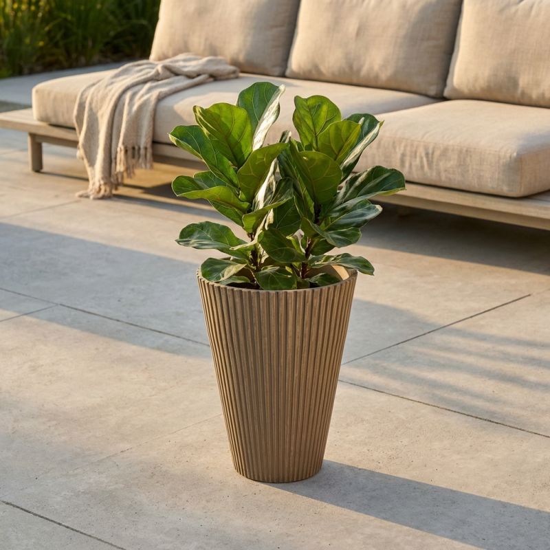 MERCEDES - vaso medio