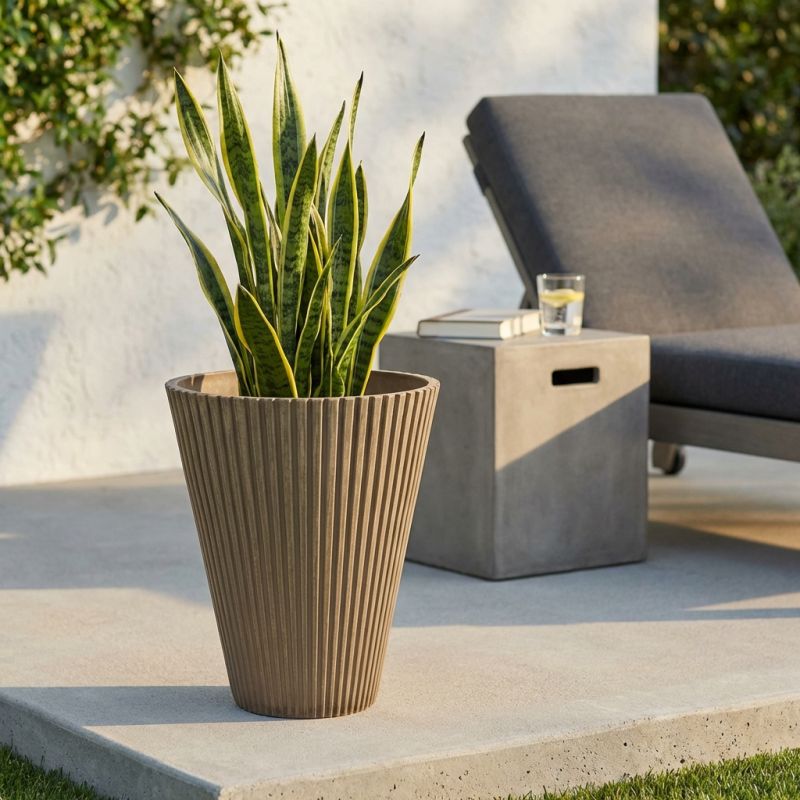 MERCEDES - vaso medio