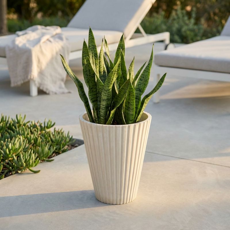 MERCEDES - vaso medio