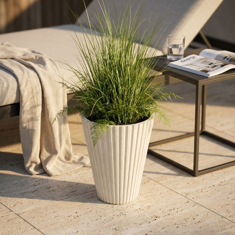 MERCEDES - vaso medio