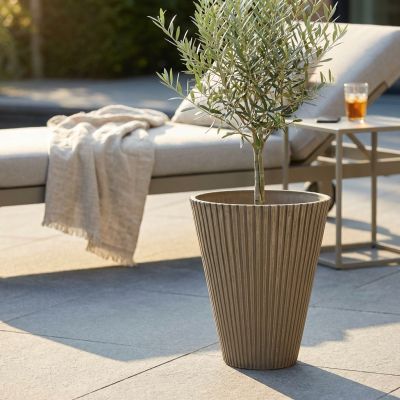 MERCEDES - vaso grande