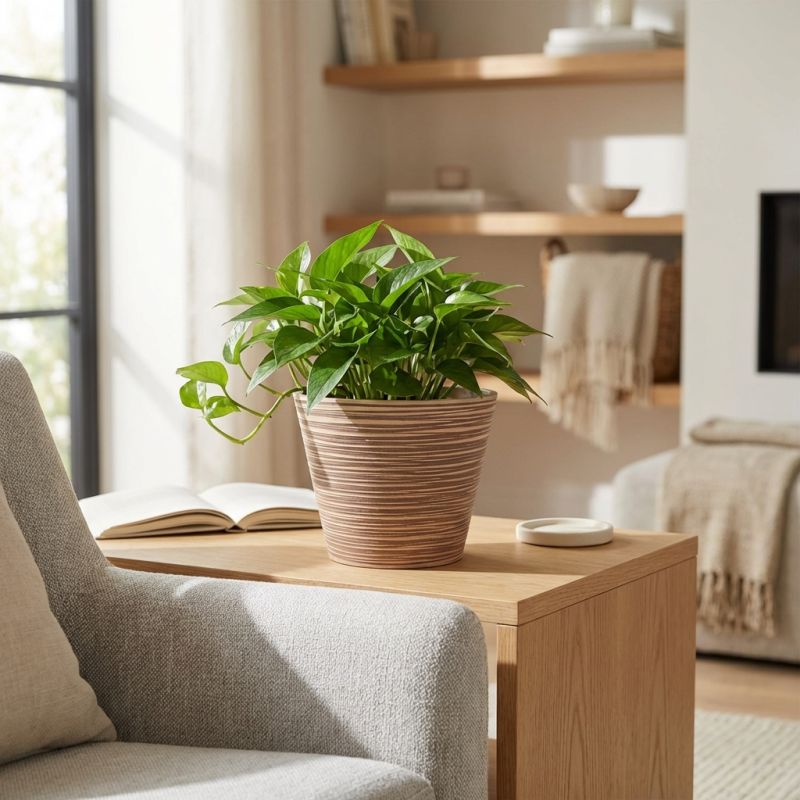 RAQUEL - vaso piccolo