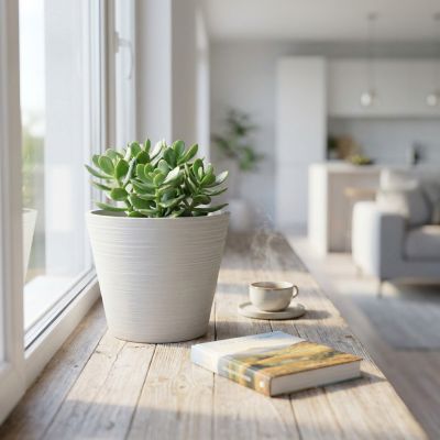 RAQUEL - vaso piccolo