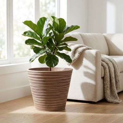 RAQUEL - vaso grande