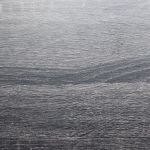 CALISS - scarpiera con 2 ante