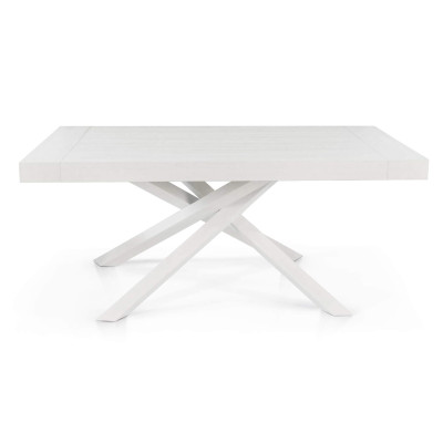 FLORA - tavolo in legno e acciaio 180 x 100