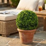 Sfera di bosso artificiale