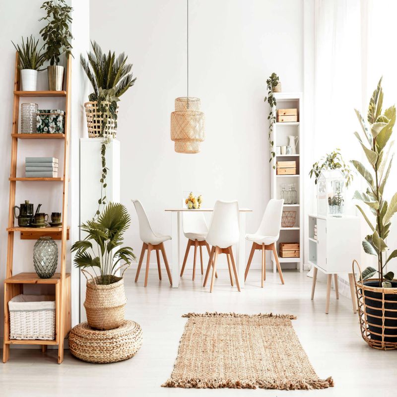 MARGOT - sedia nordica imbottita set da 4